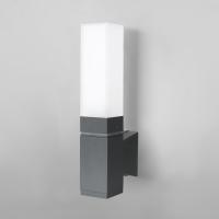 Уличный настенный светодиодный светильник Elektrostandard 1534 Techno Led серый a052857