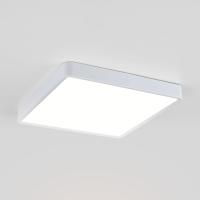 Потолочный светодиодный светильник Elektrostandard DLS034 24W 4200K a043018