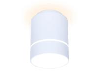 Потолочный светодиодный светильник Ambrella light Techno Spot TN255