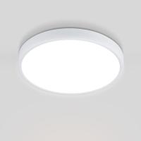 Потолочный светодиодный светильник Elektrostandard DLR034 24W 4200K a043016