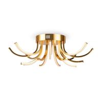 Потолочный светодиодный светильник Freya Naomi FR6046CL-L50G