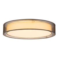Потолочный светодиодный светильник Globo Teo 15190D4