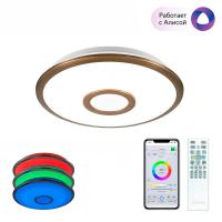 Потолочный светодиодный светильник Citilux Старлайт Смарт CL703A13G