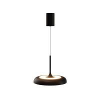 Подвесной светильник Maytoni MOD189PL-L39B3K