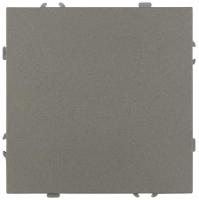 Кнопка ЭРА Galaxy 15-1109-07 10АХ-250В IP20 титан Б0070765
