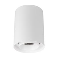 Светильник SP-FOCUS-R110-18W Day4000 (WH, 24 deg, 230V) Arlight 054838