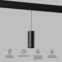 Подвесной трековый светодиодный светильник Elektrostandard (Умный дом) Slim Magnetic Dim Amend 85073/01 черный a063534