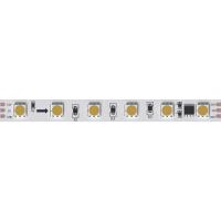 Светодиодная лента 24V 14,4W/m 3100К 5м Arte Lamp SPI A2406010-03-3K
