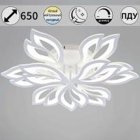 Светильник потолочный Reluce 85162-0.3-6+3