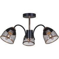 Потолочная люстра Reluce 01505-0.3-03 BK+FGD