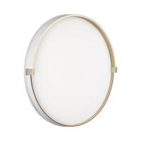 Настенно-потолочный светильник Sonex OLIDI WHITE 7646/DLN