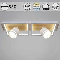 Потолочный светильник Reluce 19560-0.3-2+2 WH+WOOD