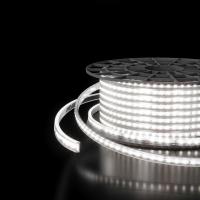 Светодиодная влагозащищенная лента Elektrostandard 14,4W/m 120LED/m 2835SMD холодный белый 50M a053640