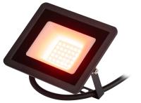 Прожектор светодиодный уличный ЭРА LPR-025-RED-030 Б0064721