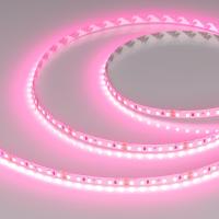 Светодиодная лента Arlight RT-A120-8mm 24V Pink 043380