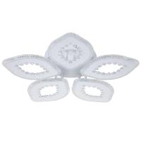 Потолочная светодиодная люстра Escada Dew 10271/5LED