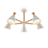 Потолочная люстра Freya Rise FR5169PL-05W