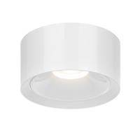 Потолочный светодиодный светильник Citilux Rover CL743060N