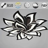 Светильник потолочный Reluce 30150-0.3-10+5 BK