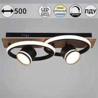 Потолочный светильник Reluce 29560-0.3-2+2 BK+WOOD