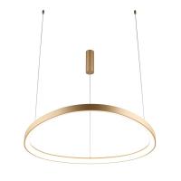 Подвесной светильник Aployt Zula APL.022.03.60