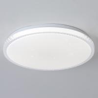 Потолочный светильник Reluce 01926-9.2-24W*2