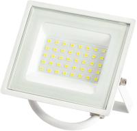 Прожектор светодиодный уличный ЭРА LPR-023-W-65K-030 Б0054641