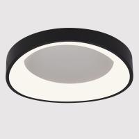 Потолочный светодиодный светильник Arte Lamp Sualocin A2698PL-48BK