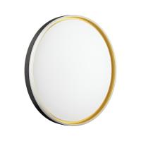 Настенно-потолочный светильник Sonex SAVI 7619/ELN