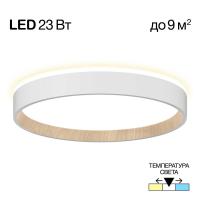 Потолочный светодиодный светильник Citilux Etalon CL750240