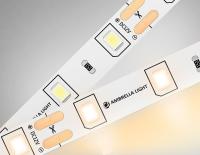 Светодиодная лента Ambrella Light 4,8W/m 60LED/m 2835SMD теплый белый 5M GS1001