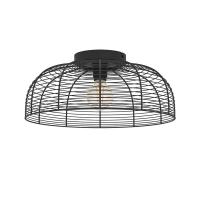 Потолочный светильник Eglo Rinroe 43896