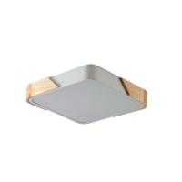 Потолочный светильник Zortes ALBERRO ZRS.01285.48