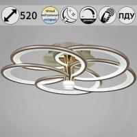 Люстра Reluce 09246-0.3-5S Champaign silver