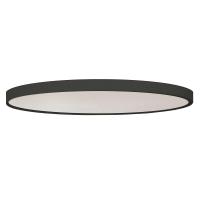 Потолочный светильник TopDecor Ding P4 12
