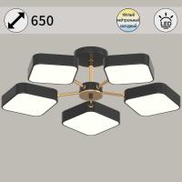 Светильник потолочный Reluce 03360-0.3-05 BK+FGD