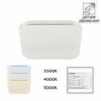 Потолочный светодиодный светильник Citilux Симпла CL714K24SV