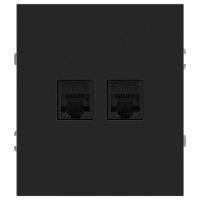 Розетка ЭРА Arktik 16-3108-05 информационная двойная 2XRJ45 антрацит Б0070488
