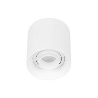 Светильник SP-ACENTO-R95-10W Day4000 (WH, 20-45 deg, 230V) Arlight 055739