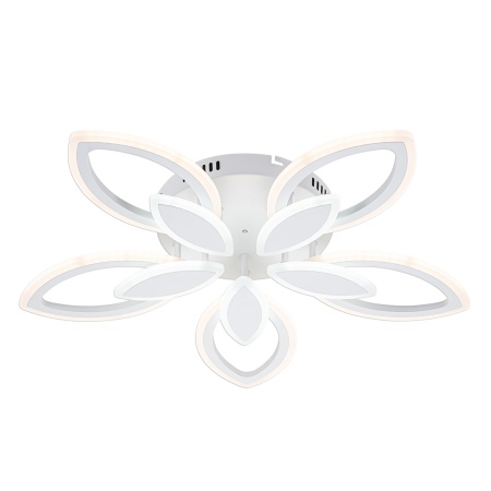 Потолочная светодиодная люстра Escada Gentle 10287/5LED