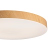 Светильник Sonex Mitra Led 7761/36L