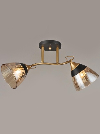 Потолочный светильник Reluce 04619-0.3-02