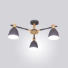 Потолочная люстра Imperium Loft Folke 101598-26