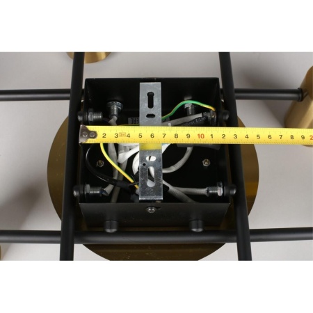 Потолочная люстра Aployt Elwisia APL.633.07.10