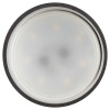 Настенно-потолочный светильник ЭРА Taurus OL58 BK Б0066782