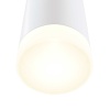 Настенный светильник Maytoni Dafne C027WL-L10W