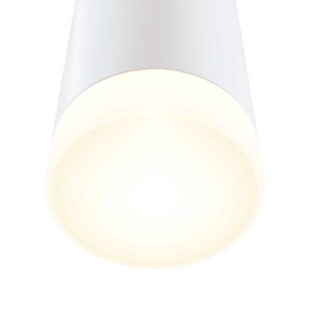 Настенный светильник Maytoni Dafne C027WL-L10W