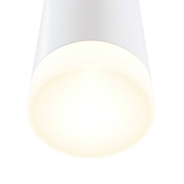 Настенный светильник Maytoni Dafne C027WL-L10W