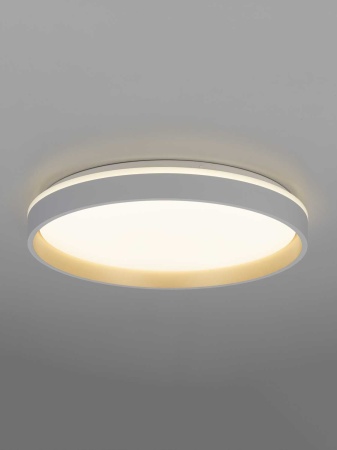 Светильник потолочный Citilux ENZO CL753450G