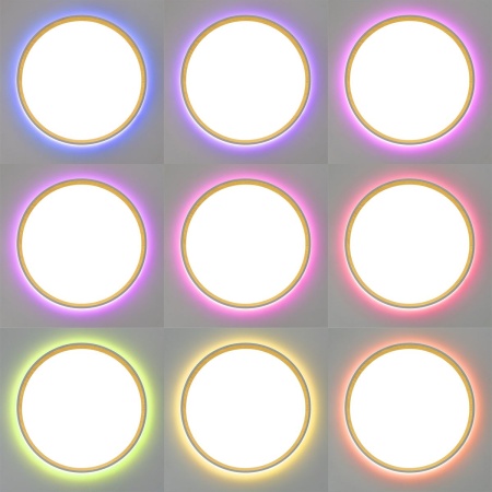 Потолочный светодиодный светильник Citilux Etalon CL750320R